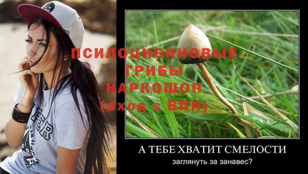 ECSTASY Волосово