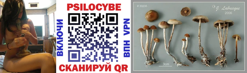 Псилоцибиновые грибы GOLDEN TEACHER Купить закладки Новосиль